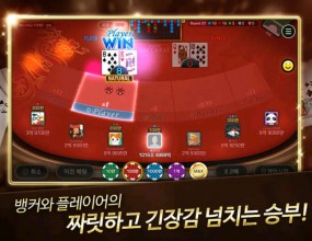 보드게임바카라솔루션